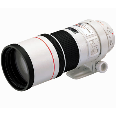 Canon EF 300mm f4.0 L Image Stabilised USM