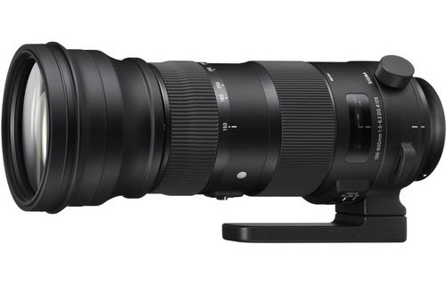 Sigma 150-600mm f5-6.3 Contemporary DG OS HSM Lens - Canon Fit