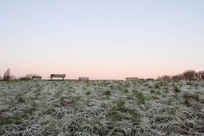 Hampstead Heath - Last day of 2014