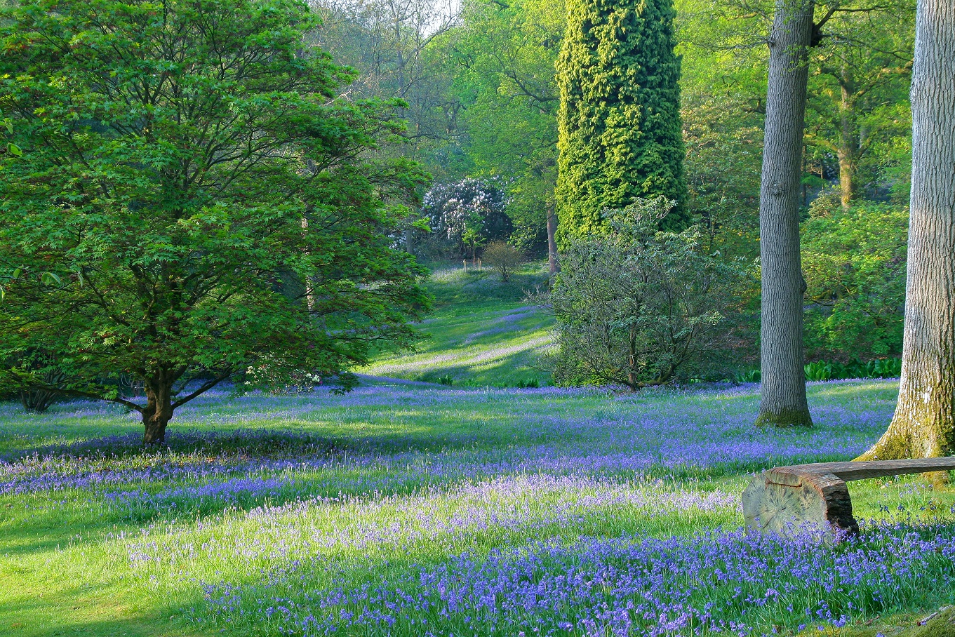 High Beeches Woodland and Water Garden