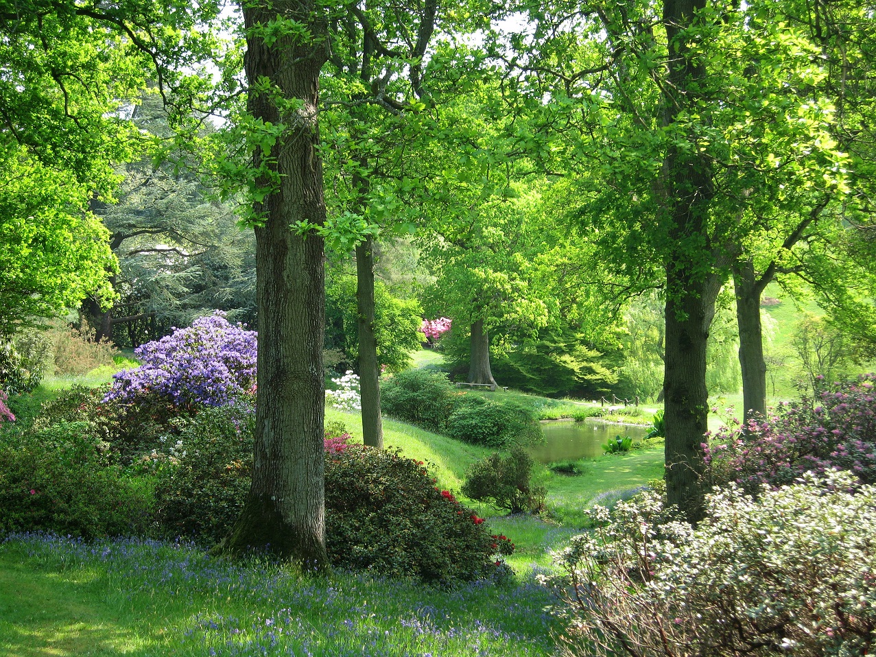 High Beeches Woodland and Water Garden