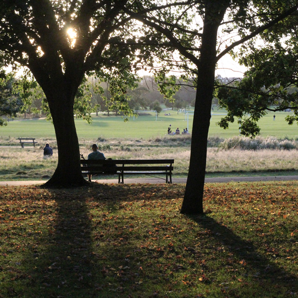 Regents  Park Beginners Photographic Walkshop