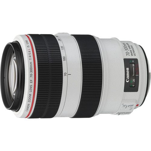 Canon EF 70-300mm f4-5.6 L IS USM Lens