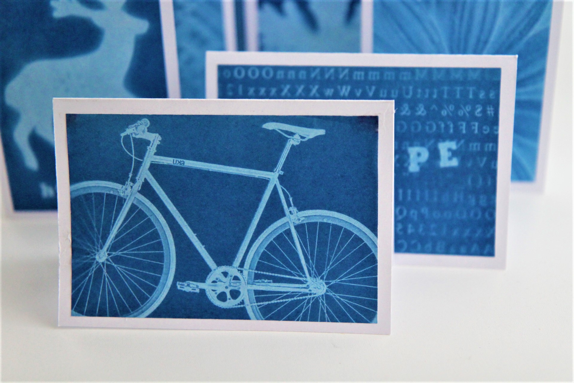 Cyanotype Photogram Greeting Card Making Kit: 4 pack
