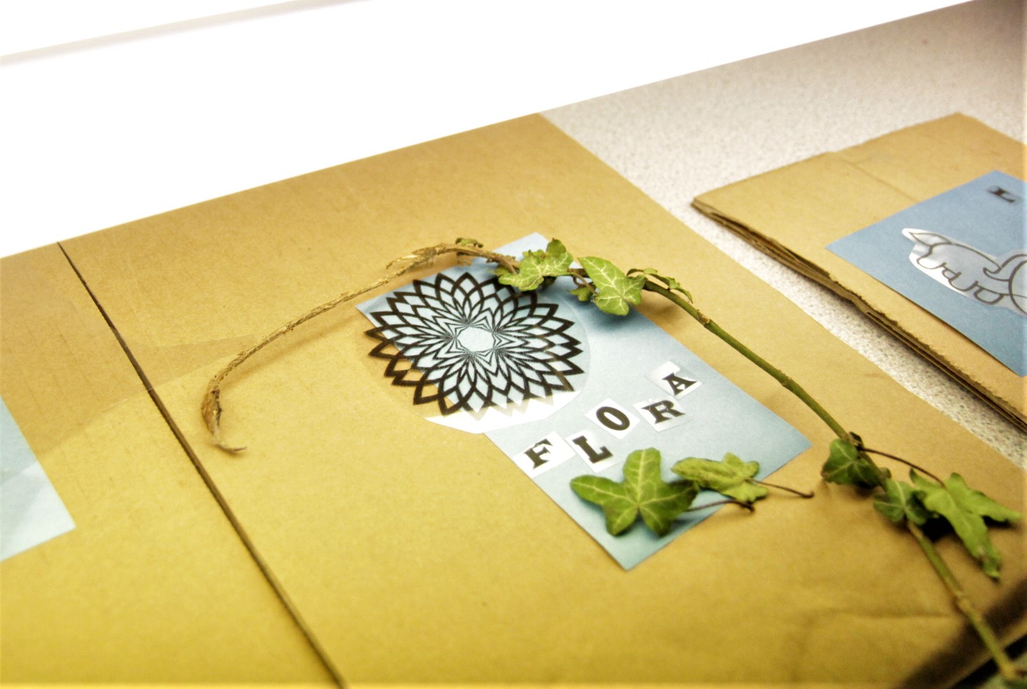 Cyanotype Photogram Greeting Card Making Kit: 4 pack