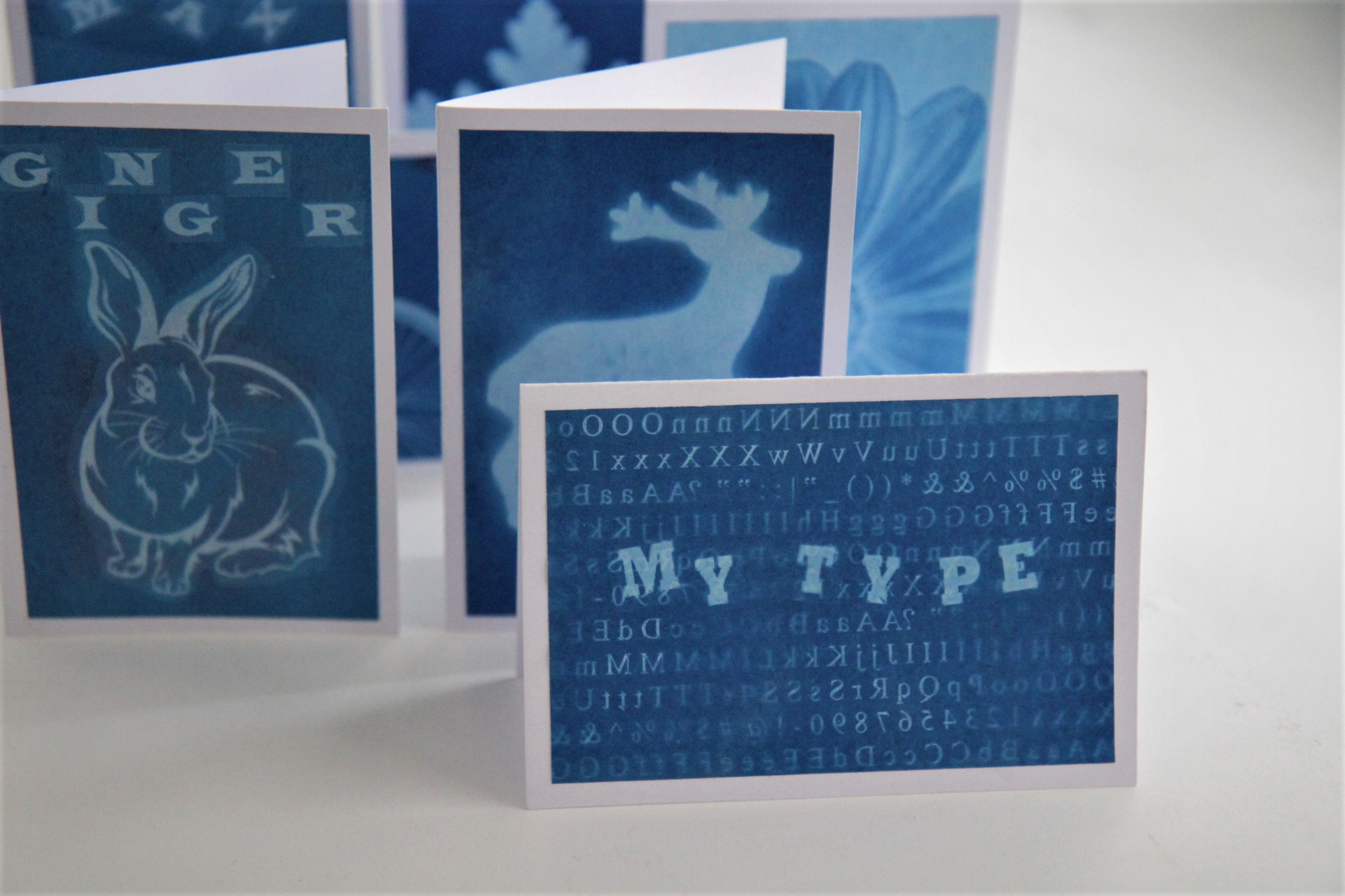 Cyanotype Photogram Greeting Card Making Kit: 4 pack